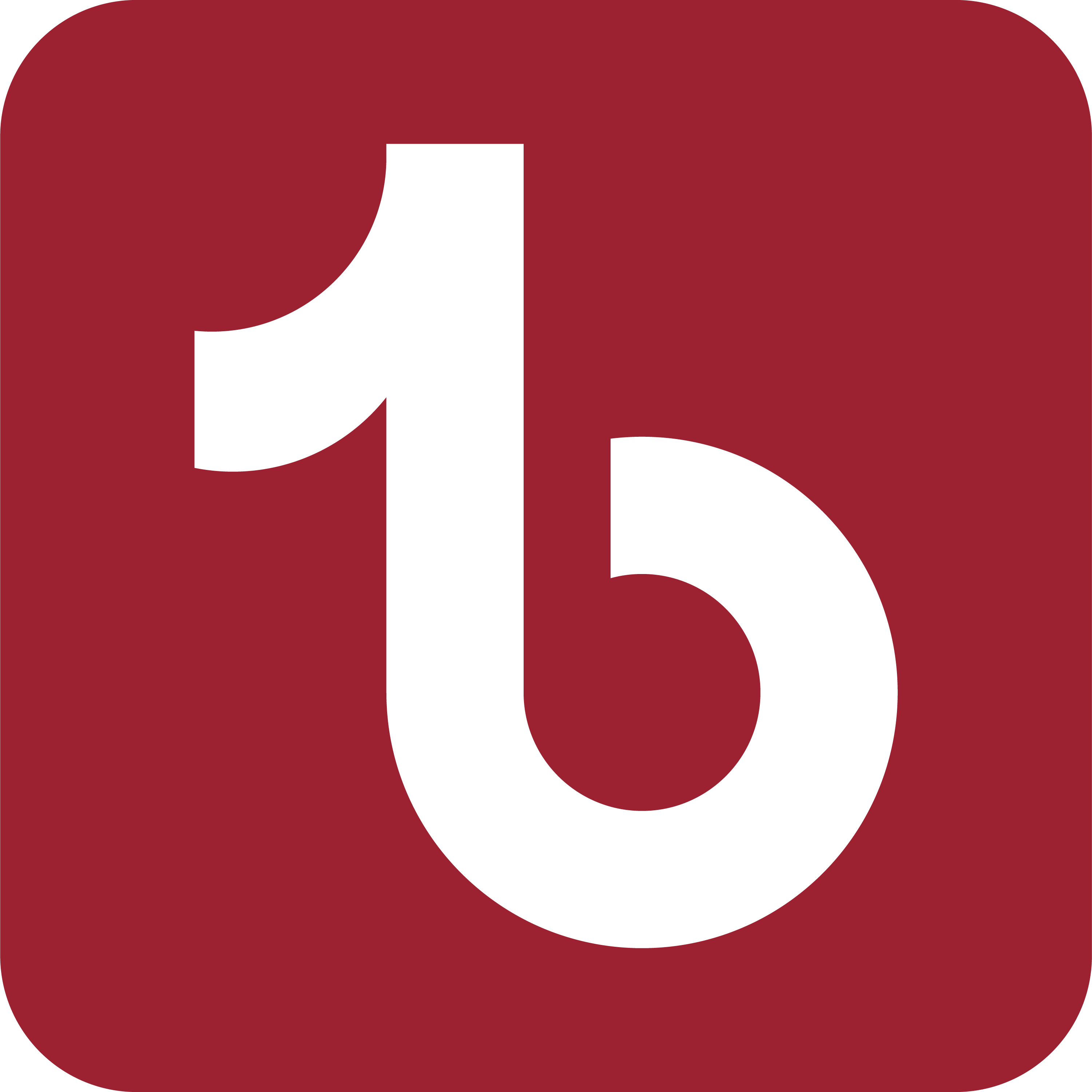 tiktok icon maroon